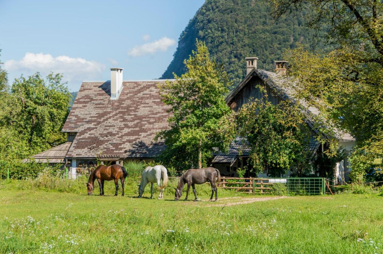 Charming Blacksmith'S House @ Lake Bohinj Luaran gambar