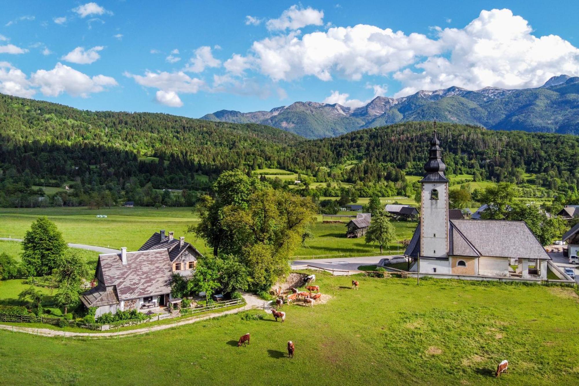 Charming Blacksmith'S House @ Lake Bohinj Luaran gambar